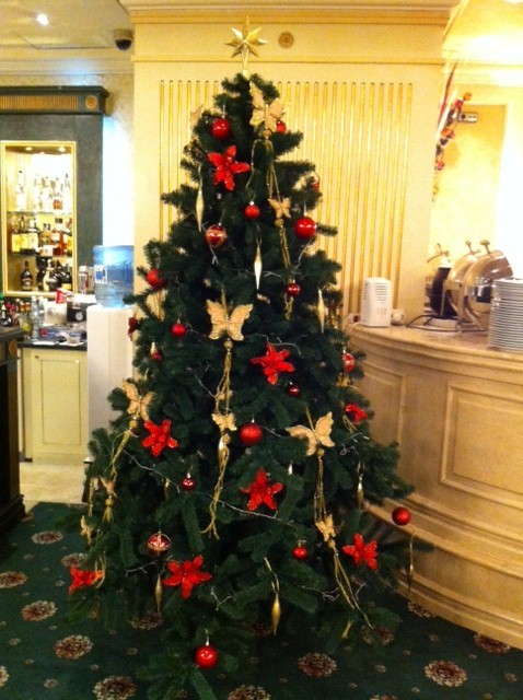 Bradul ”asortat” urmează linia casei