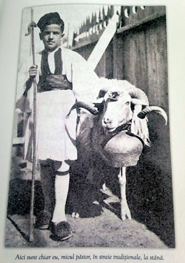 Gigi Becali mergea cu oile la păscut