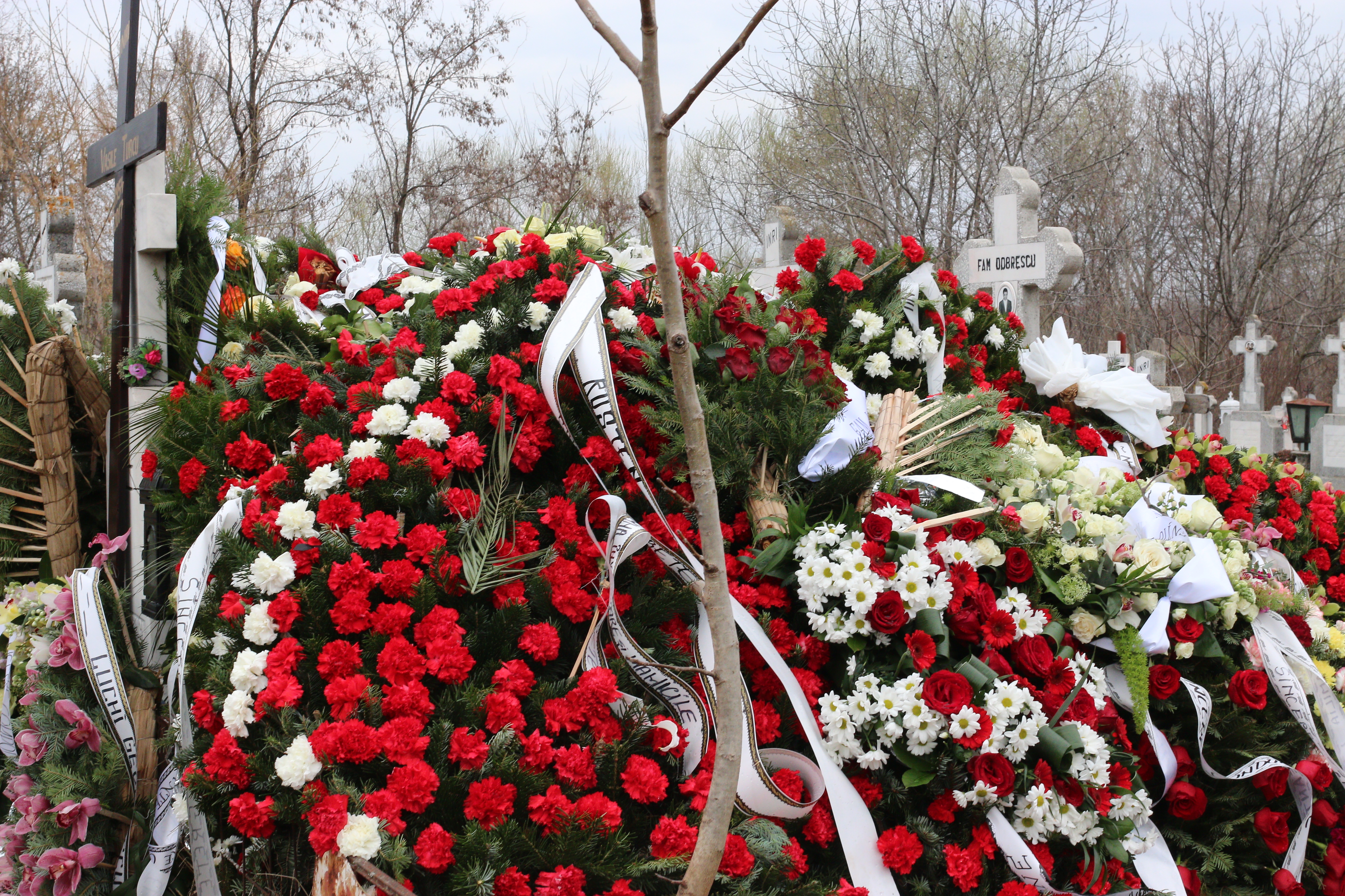 Cei care au dorit să lase un omagiu la mormântul lui Vasile Turcu au depus un număr absolut impresionant de coroane şi flori, majoritatea în culorile alb şi roşu, emblematice pentru Clubul Dinamo, al cărui acţionar a fost pentru o perioadă bună de timp.