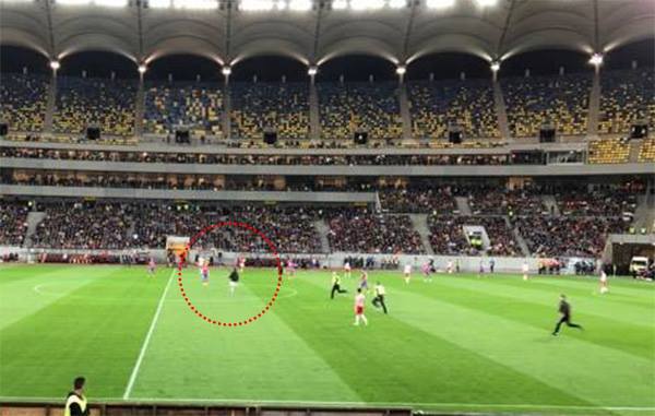 Doi suporteri au intrat pe teren