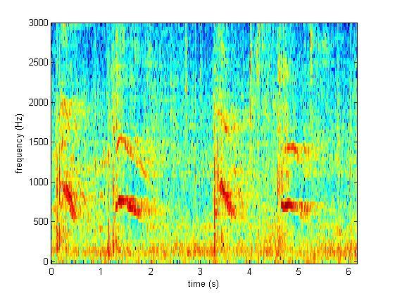 Spectograma urletelor Maria Sharapova si al Victoriei Azarenka
