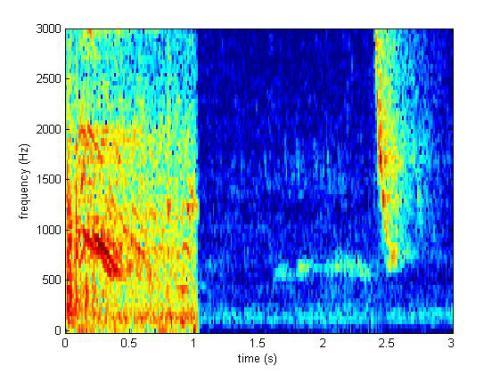 Aceasta este spectograma urletului din tenis (stanga), comparata cu ciripitul unei pasari (dreapta)