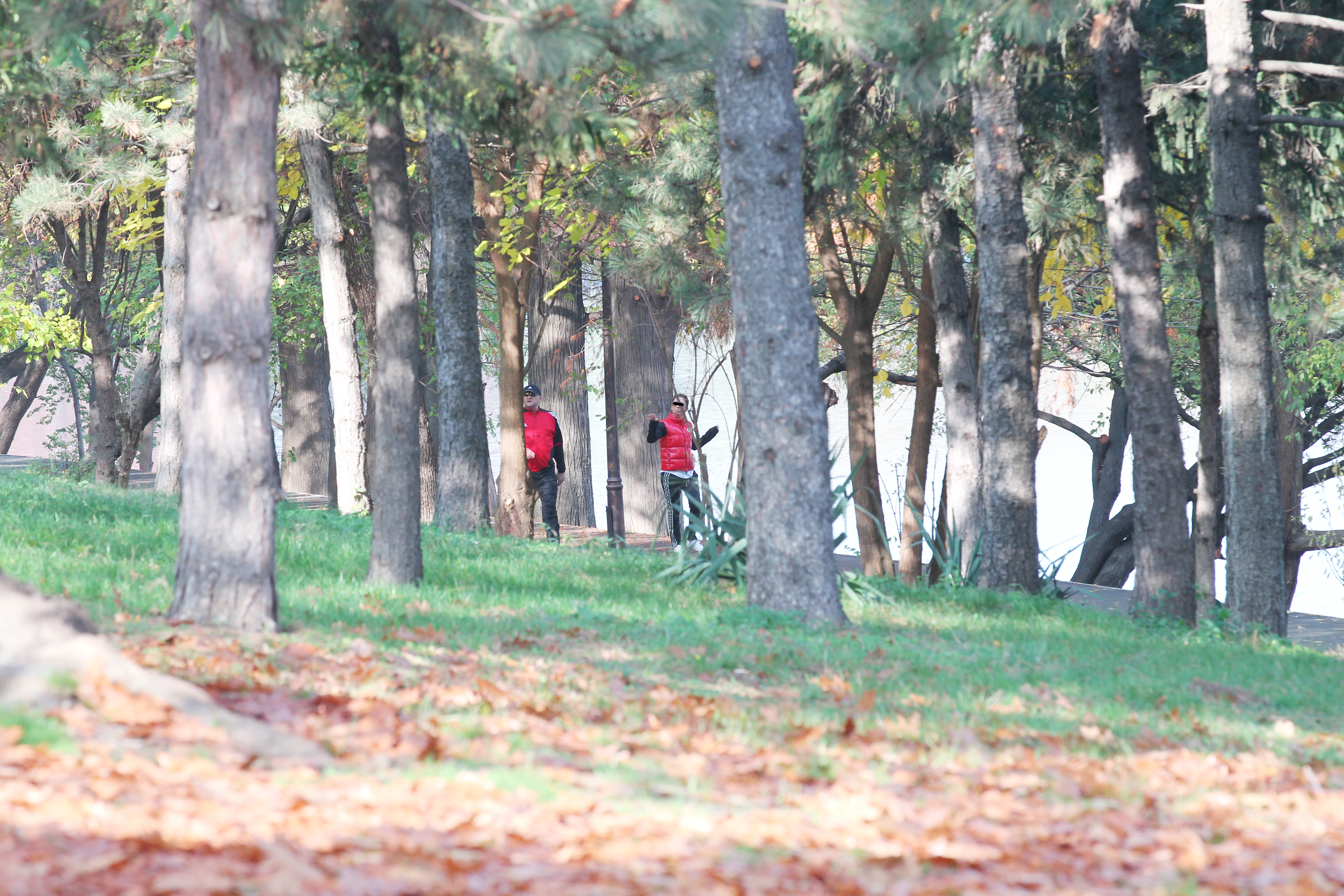 Gabi Balint si o bruneta