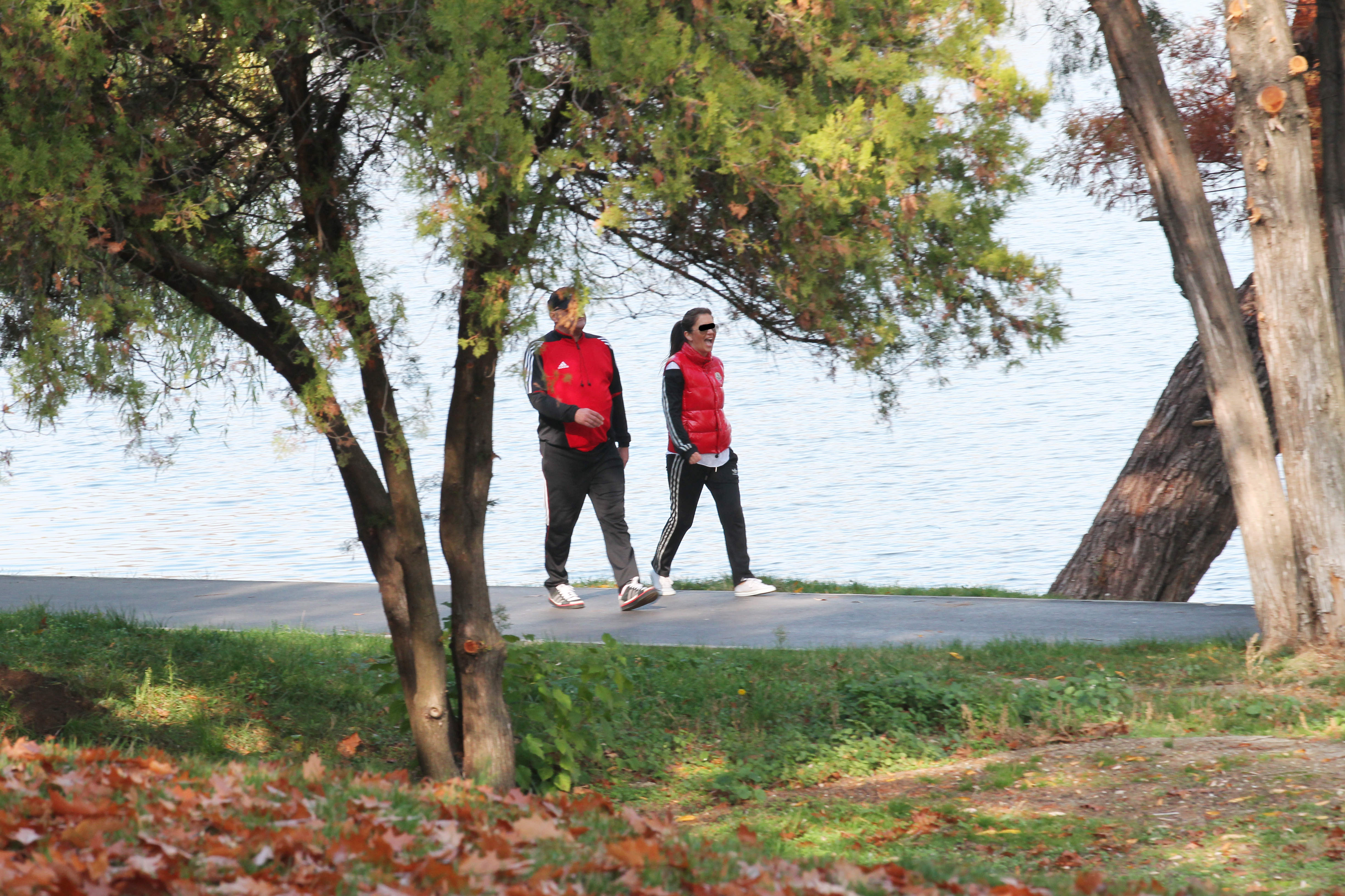 Gabi Balint si o bruneta