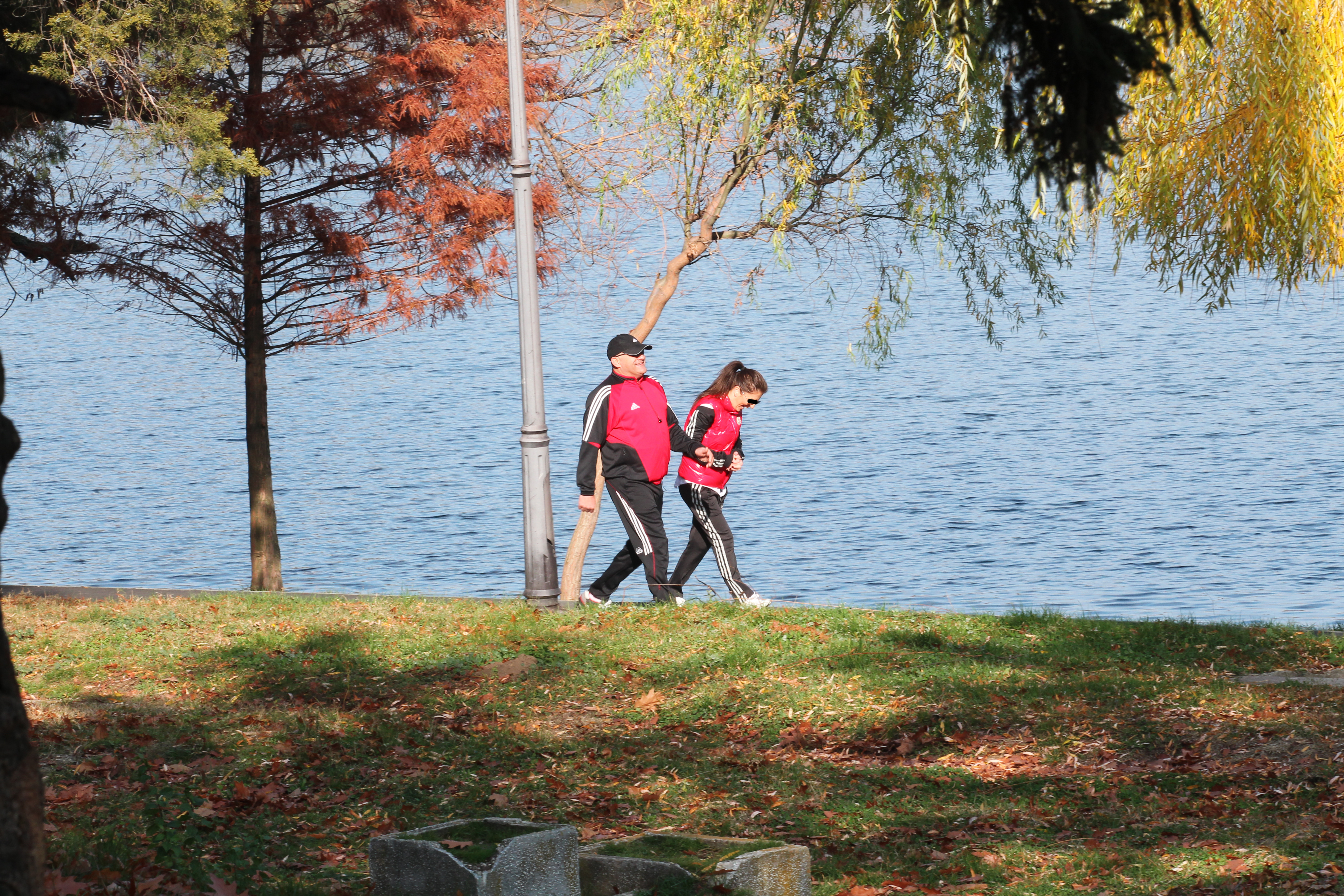 Gabi Balint si o bruneta