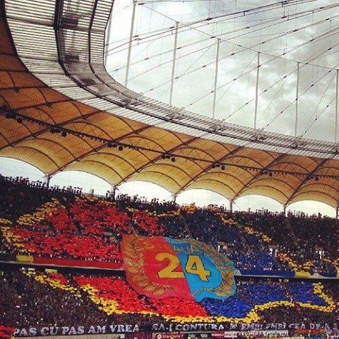 steaua
