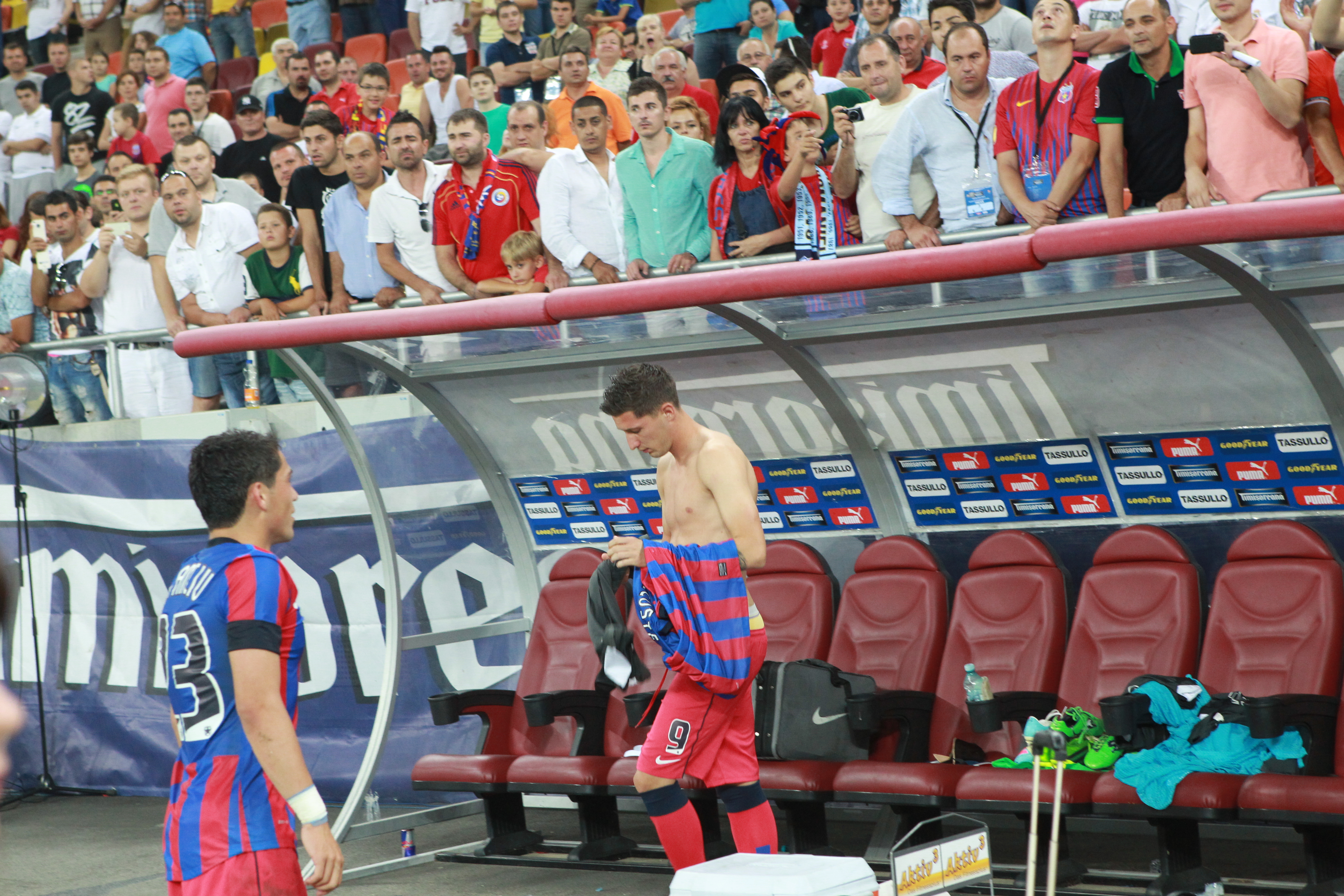 Steaua