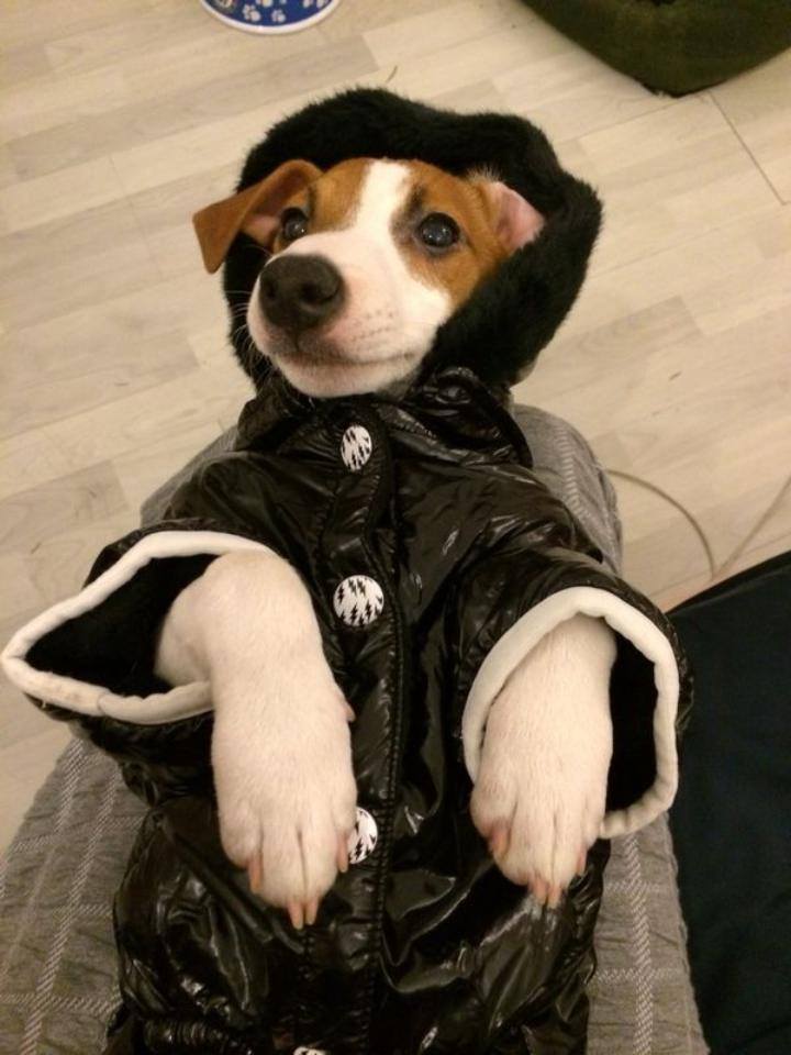 Schumi este rasfatatul familiei