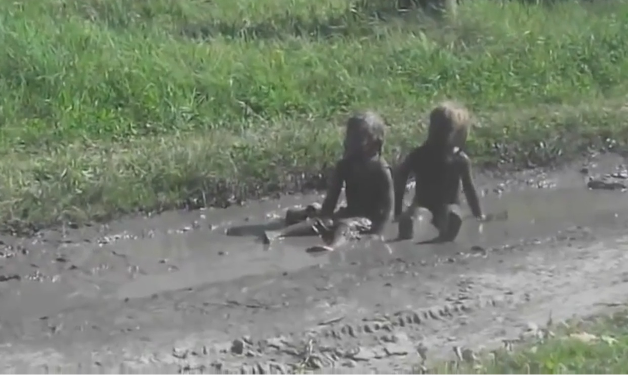 Ceilalti doi copii isi privesc mama din balta cu noroi