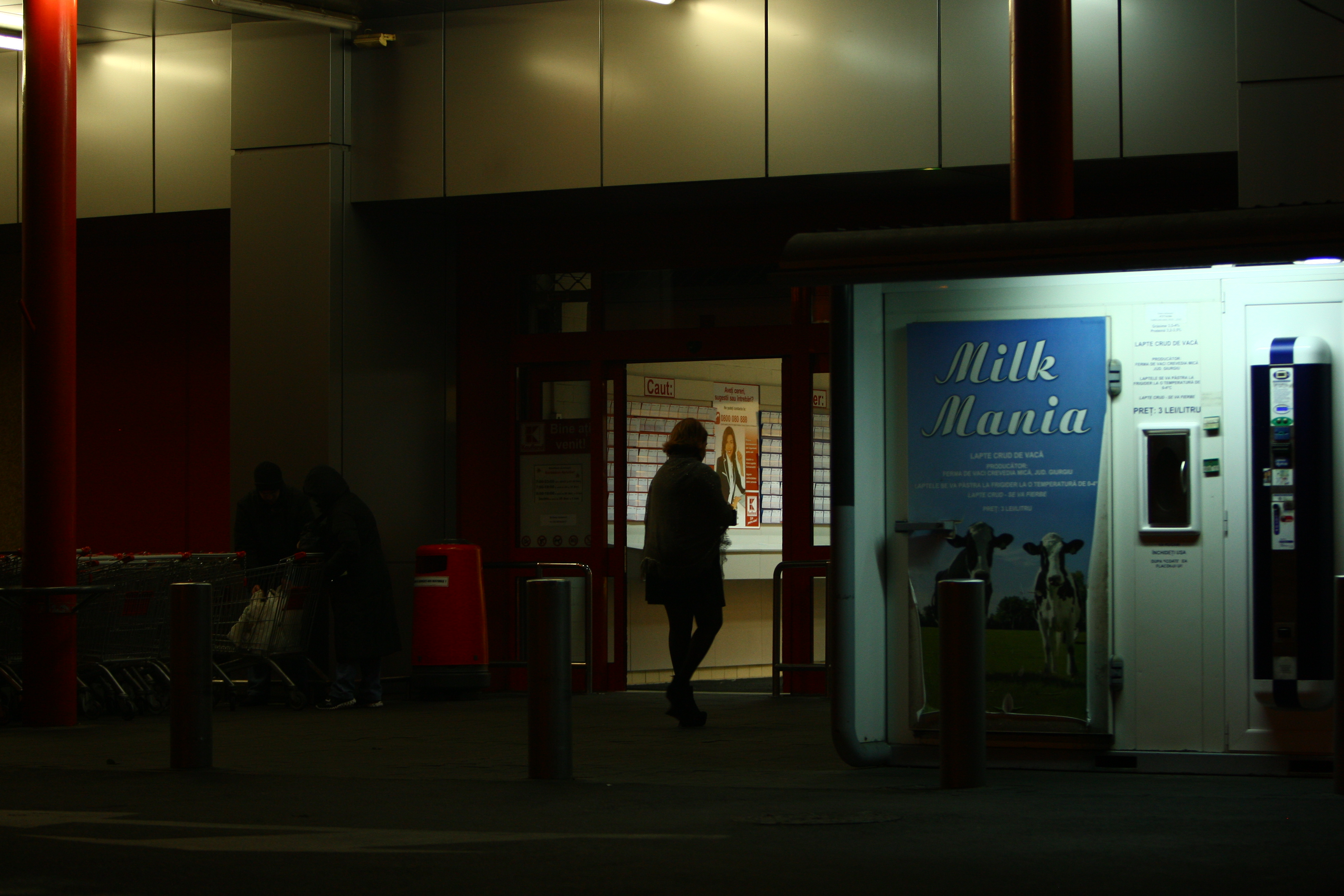 In miez de noapte, Oana Roman a intrat la un supermarket pentru a-si lua de mancare, insa magazinul se inchisese