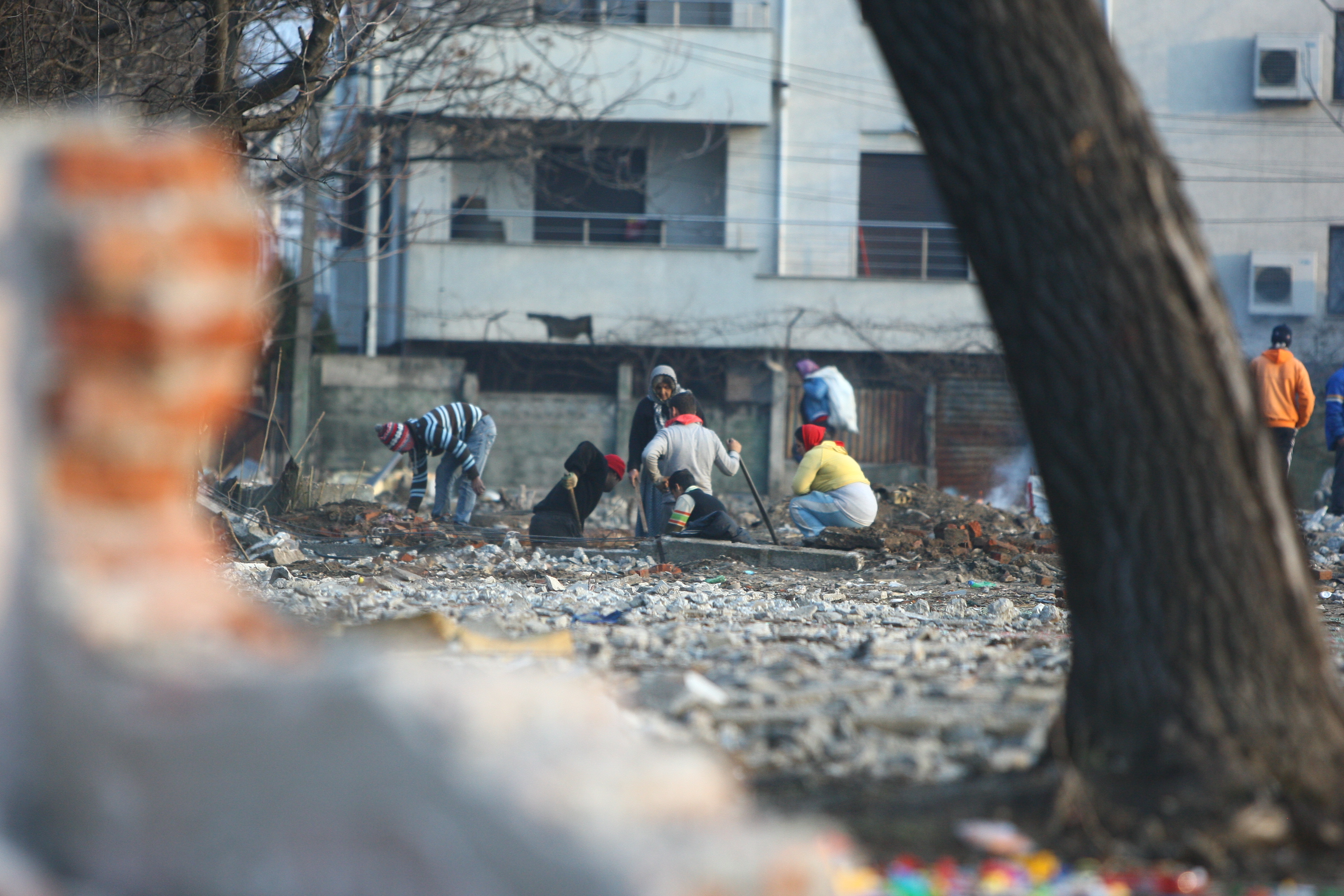 Cautatorii de fier au analizat cu atentie oferta inainte de a trece la treaba