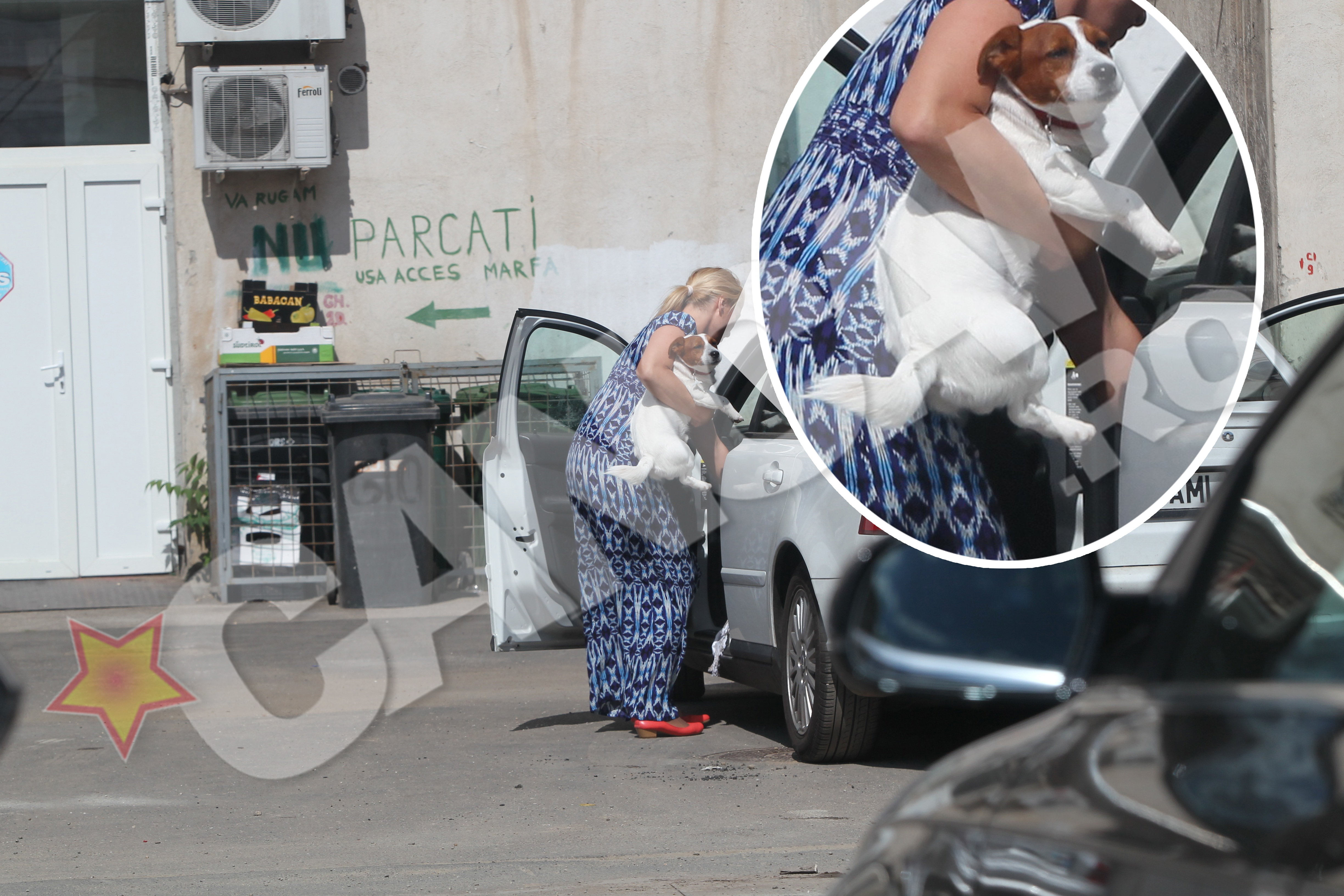 Chipul cateluli tradeaza nefericirea. Nici nu-i de mirare, dupa mai bine de o jumatate de ora inchis in masina