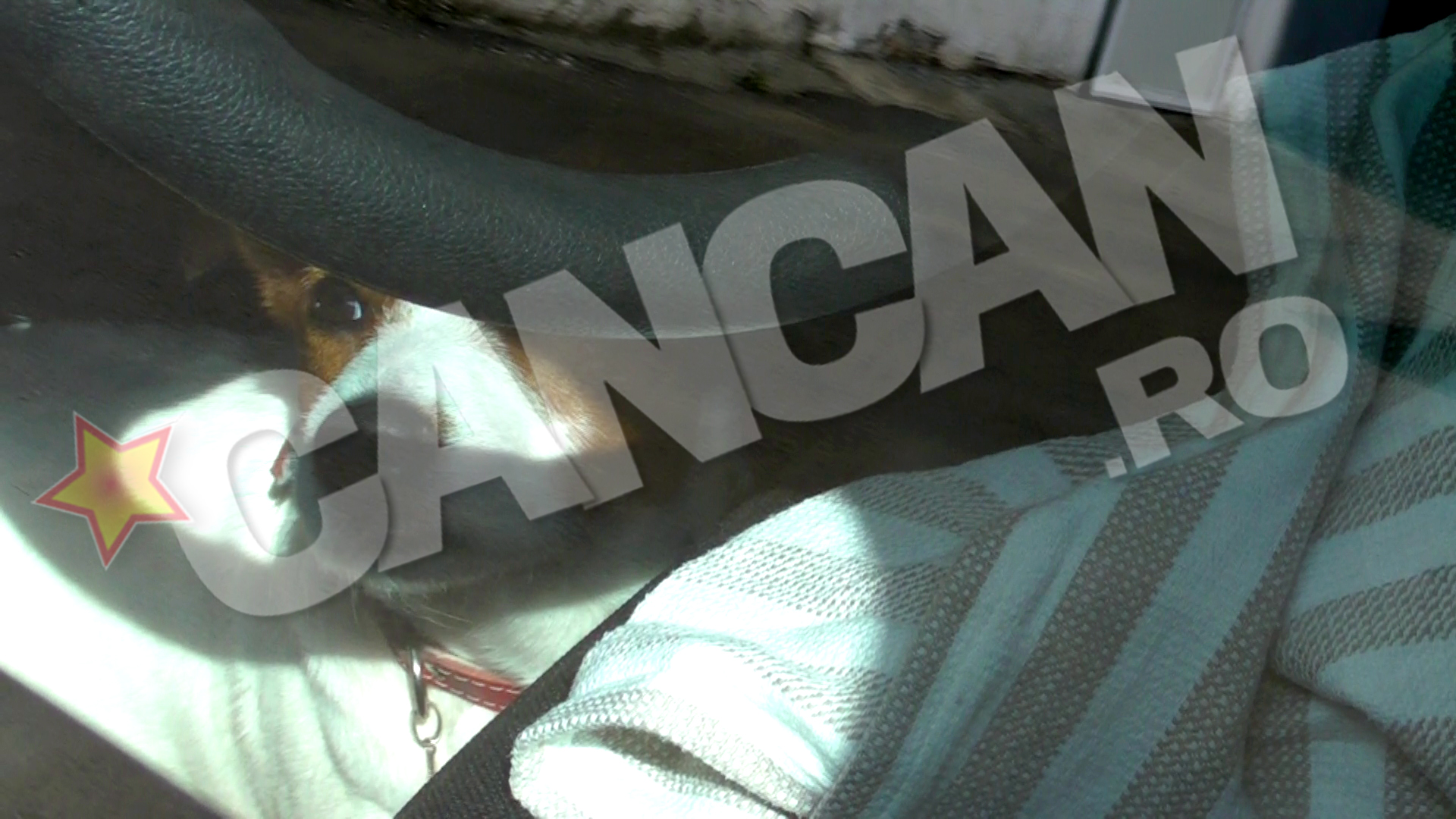 Ami a stat ascuns mai bine de 40 de minute