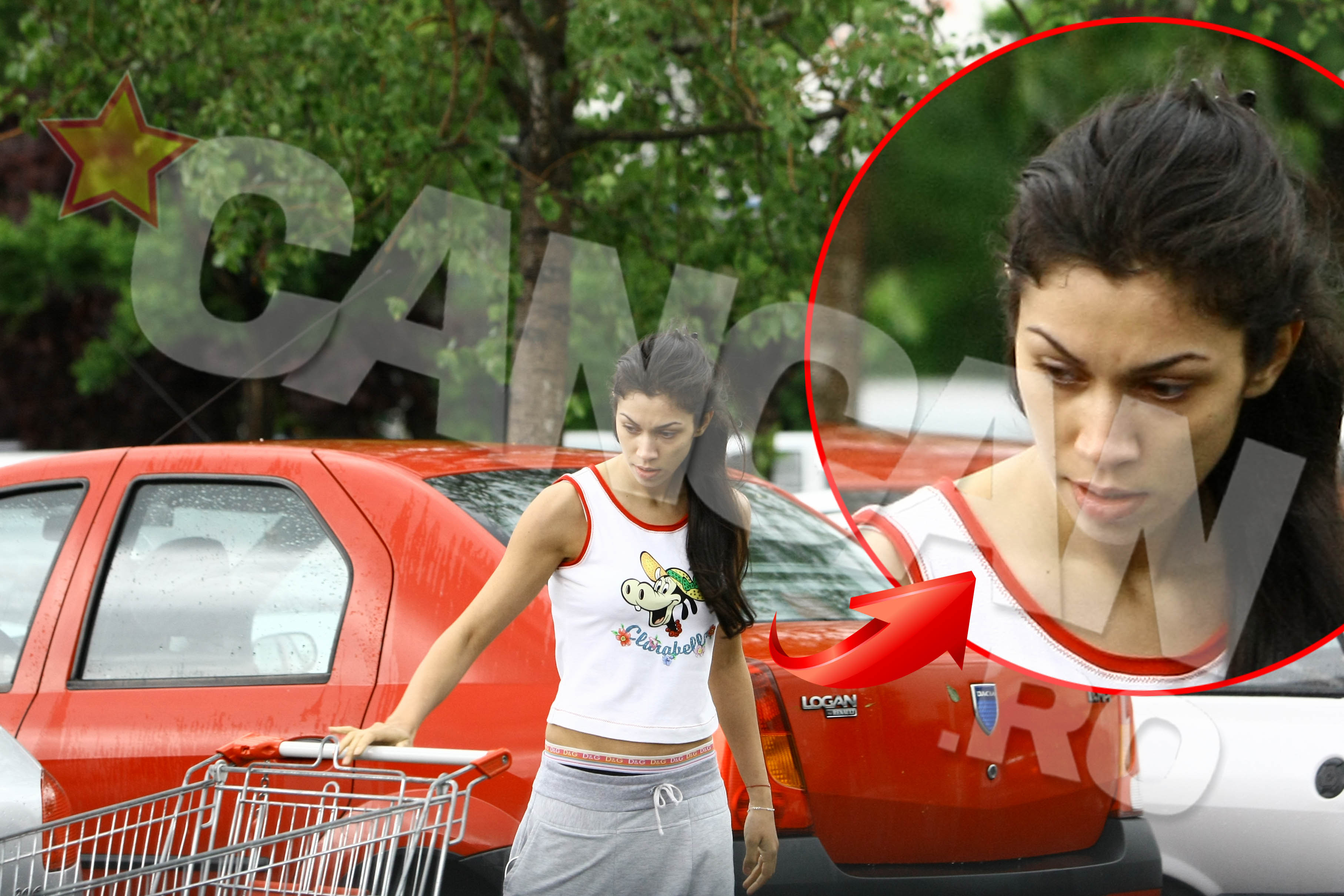 Raluca se inarmeaza cu un cos inainte de a intra in magazin