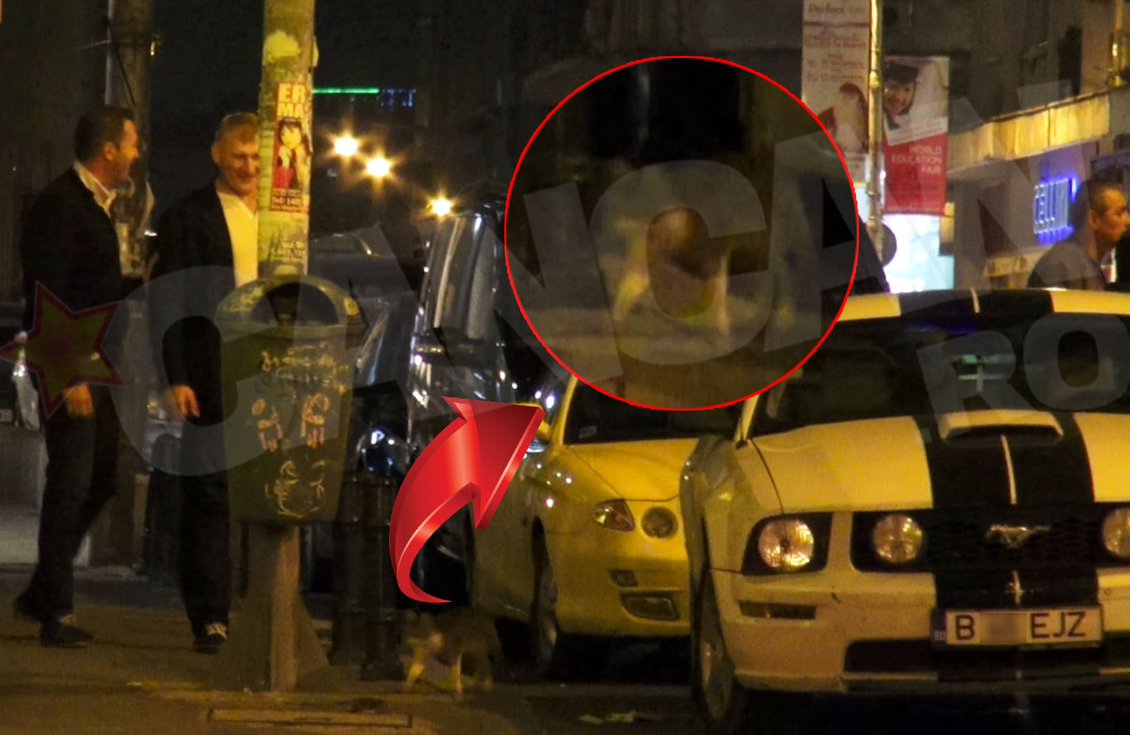 Amuzat, Tolea a urmarit cu privirea o pisicuta