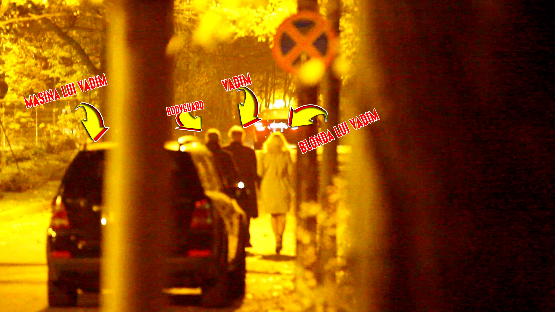 Dupa ce au luat cina intr-un local select, Vadim si blonda misterioasa au pornit la pas prin Parcul Herastrau