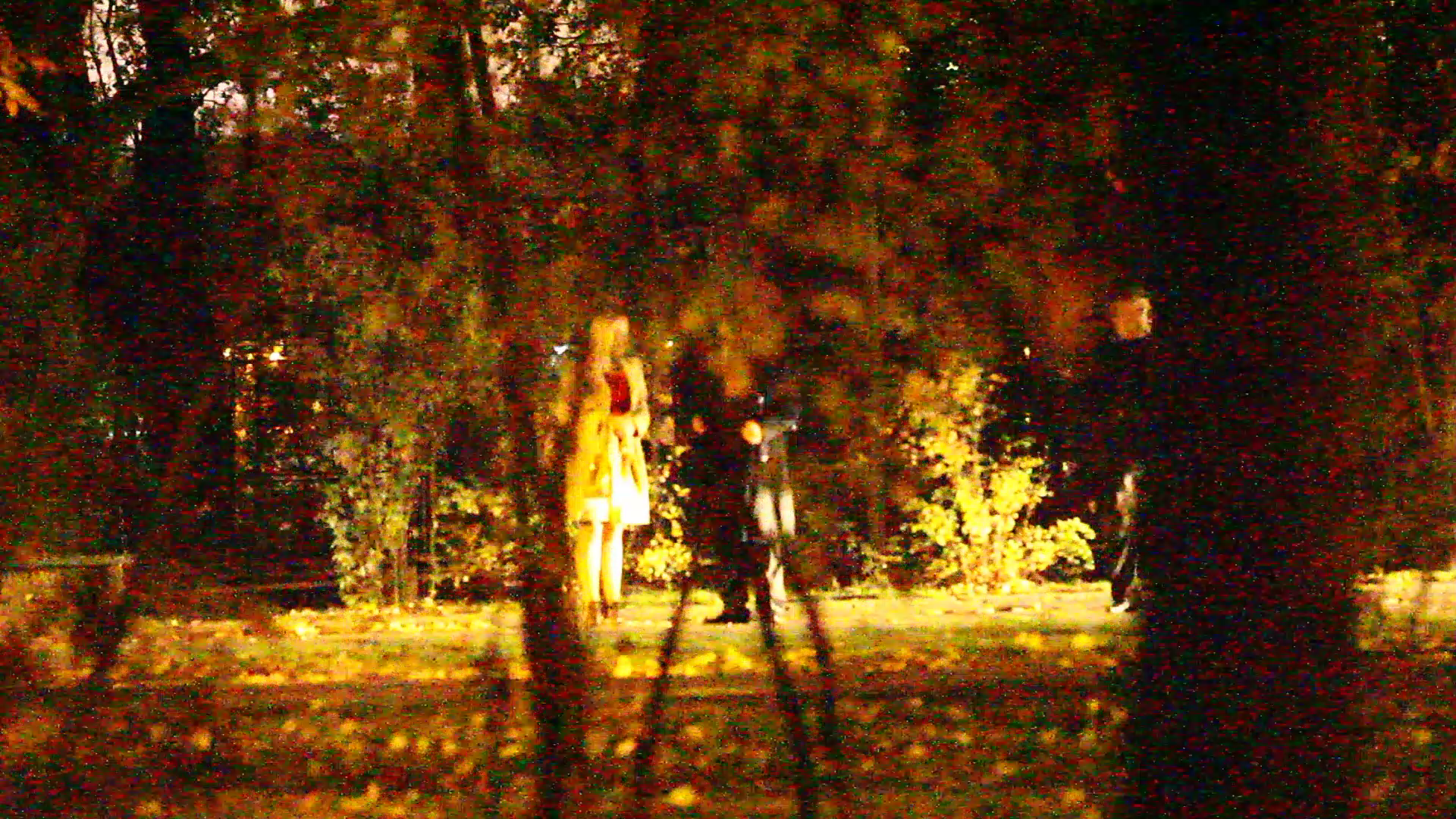 Corneliu Vadim Tudor