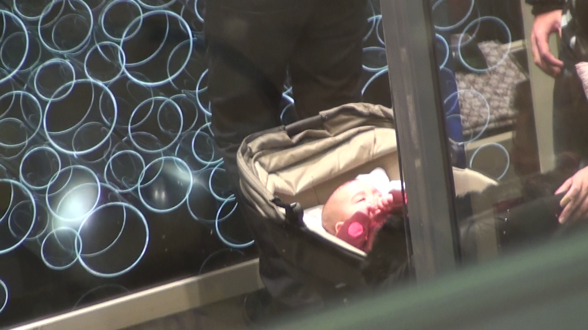 Mezina familiei ii insoteste peste tot