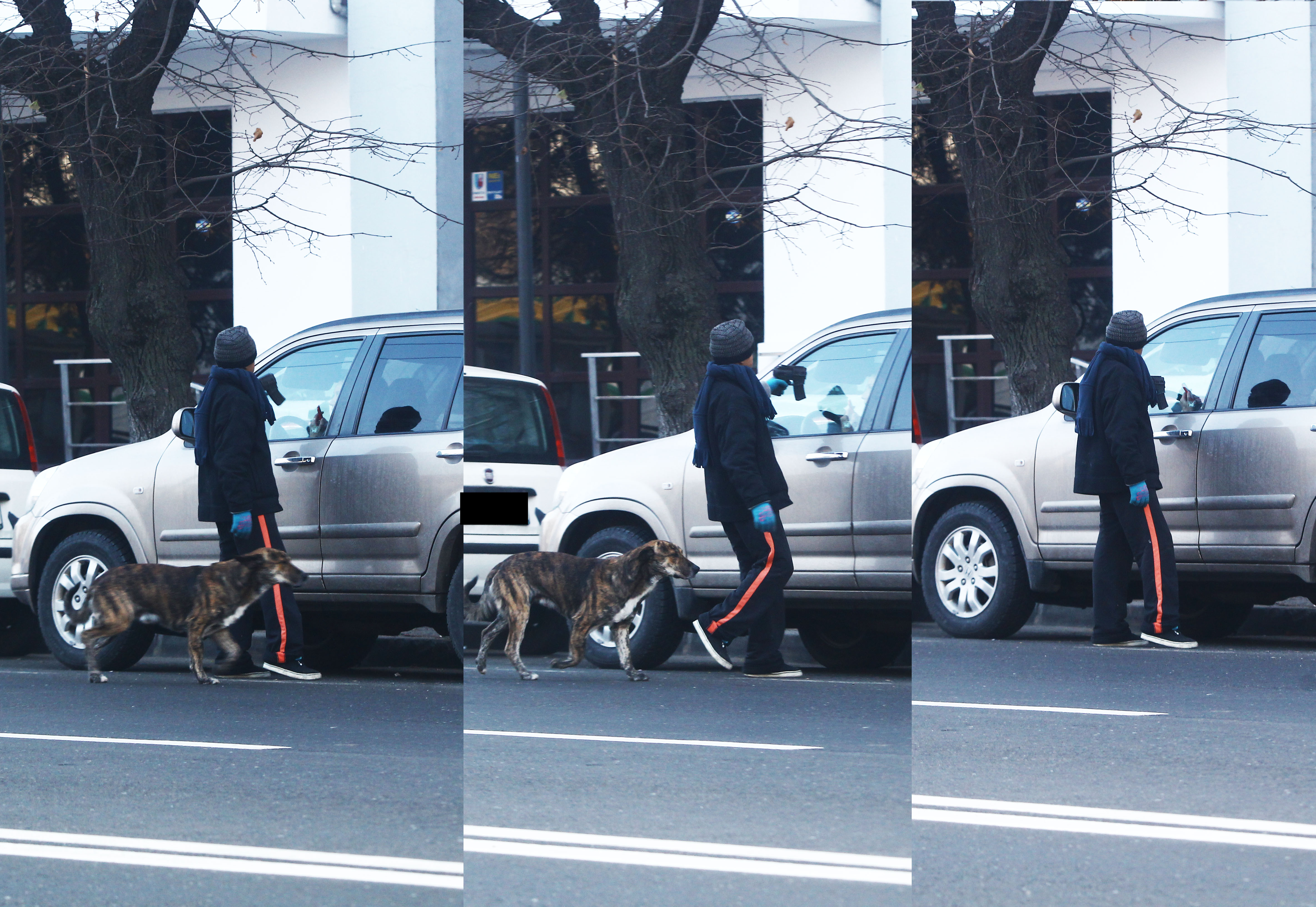 Silvia Chifiriuc a fost amenintata de un individ 