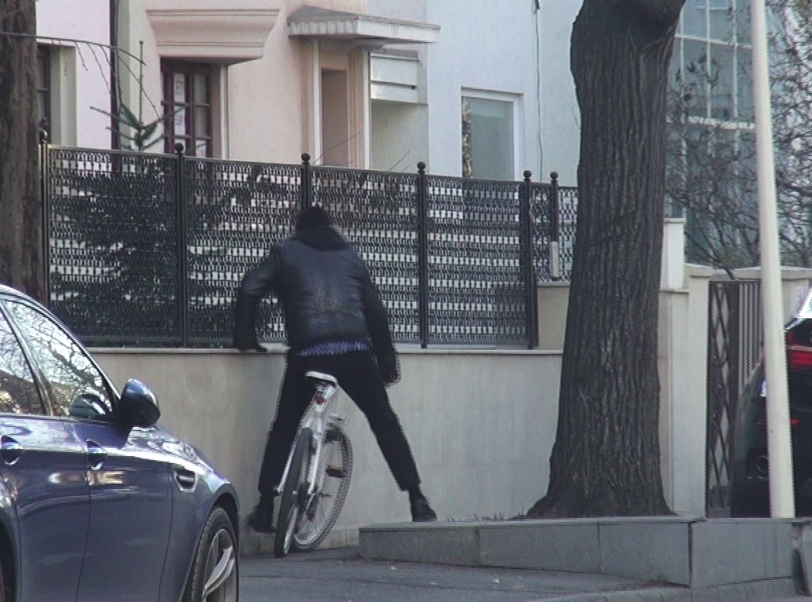 Ilie Nastase si Brigitte - 5