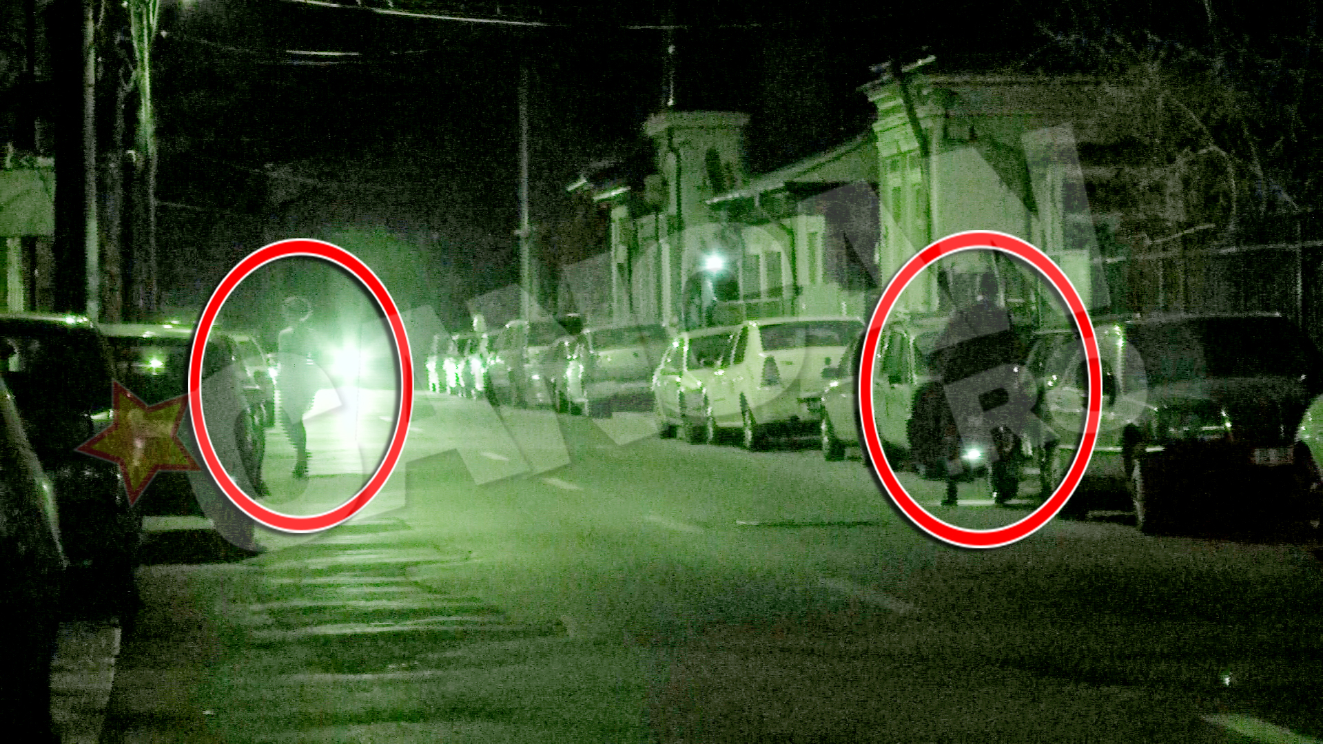 Tanara a luat-o inainte, iar George a urmat-o la cativa pasi in spate