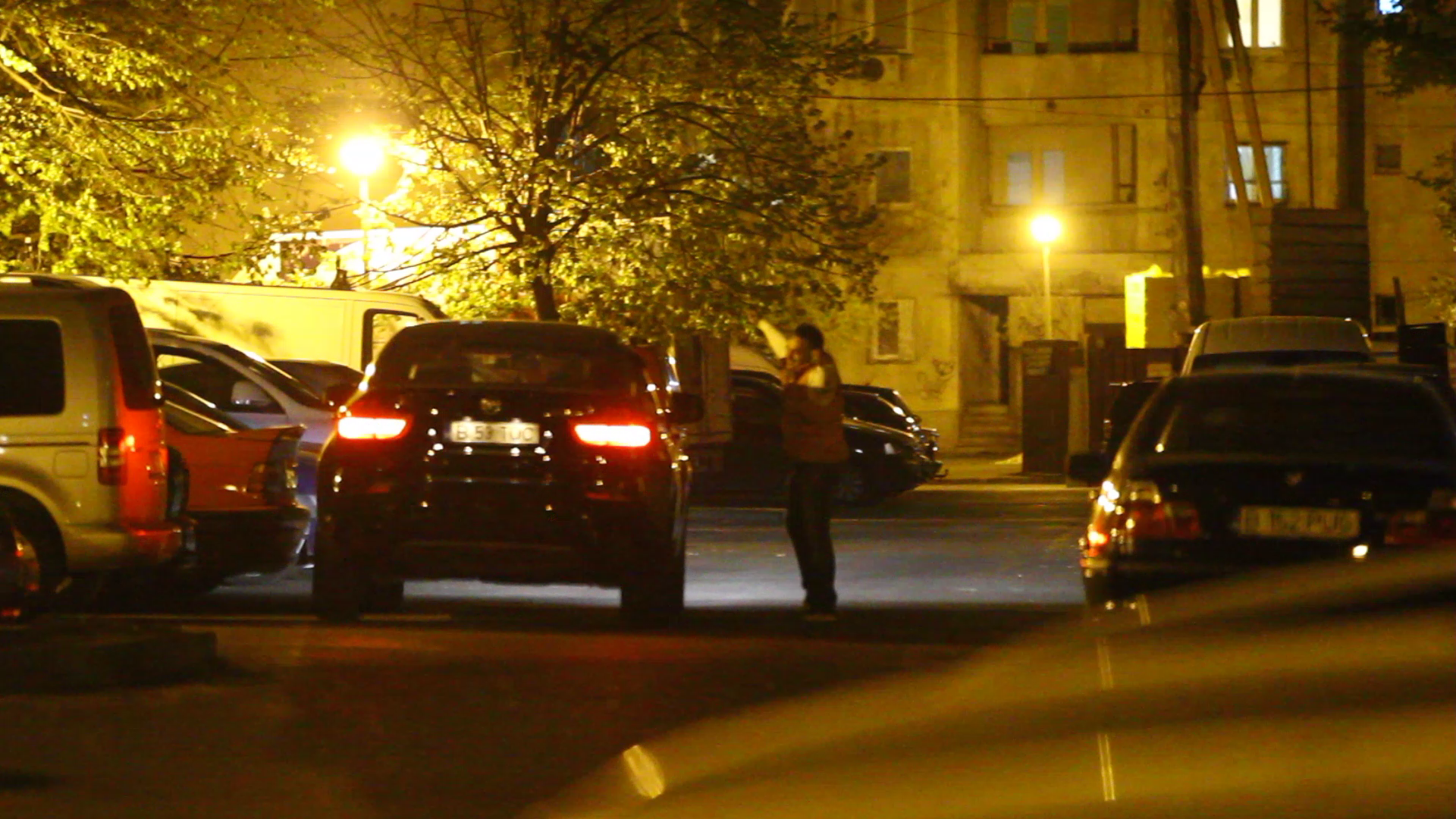 La cateva minute, si-a facut aparitia un alt prieten...la fel de distrat