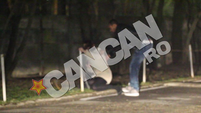 Aflata sub influenta alcoolului, Ana Maria Branza s-a dezechilibrat si a cazut