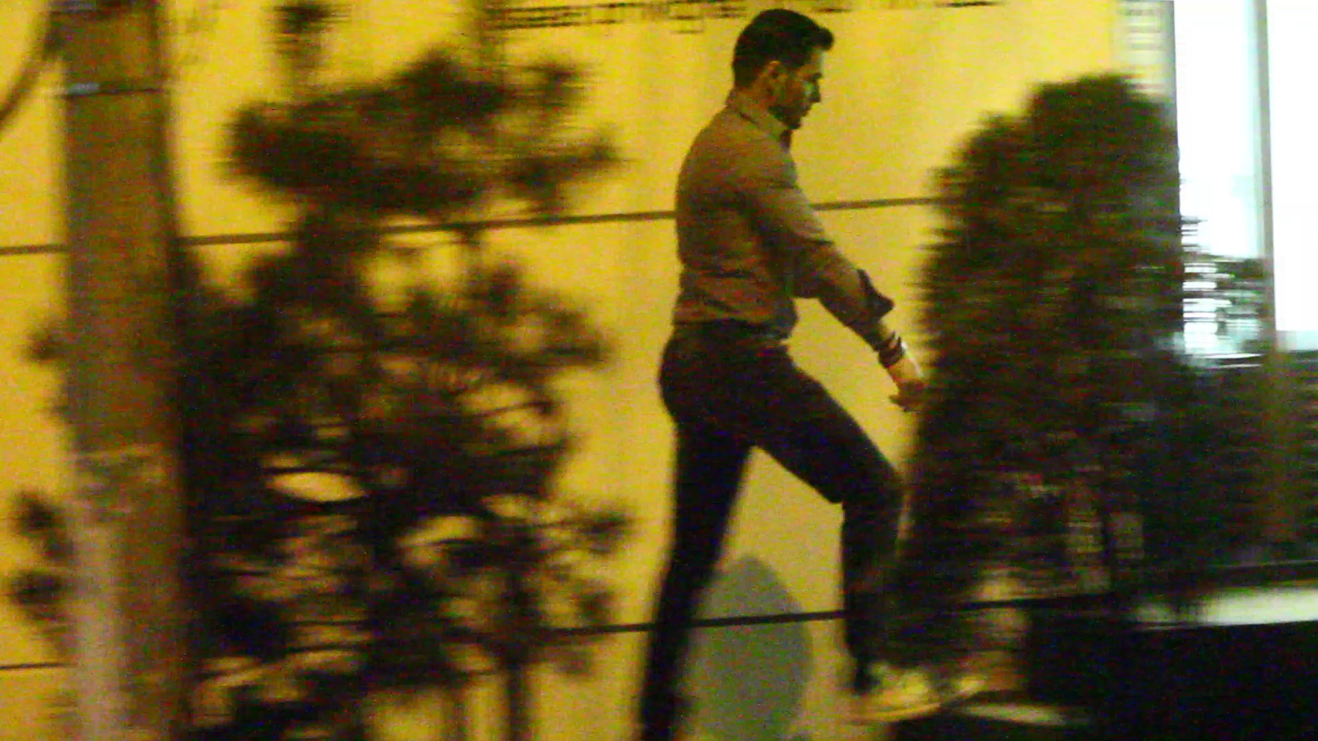 Ilinca Vandici si Liviu Varciu - 7