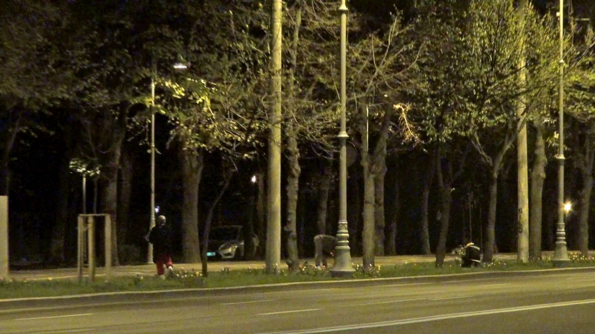 Un barbat si doua femei au reusit sa rupa circa 500 de fire de lalele