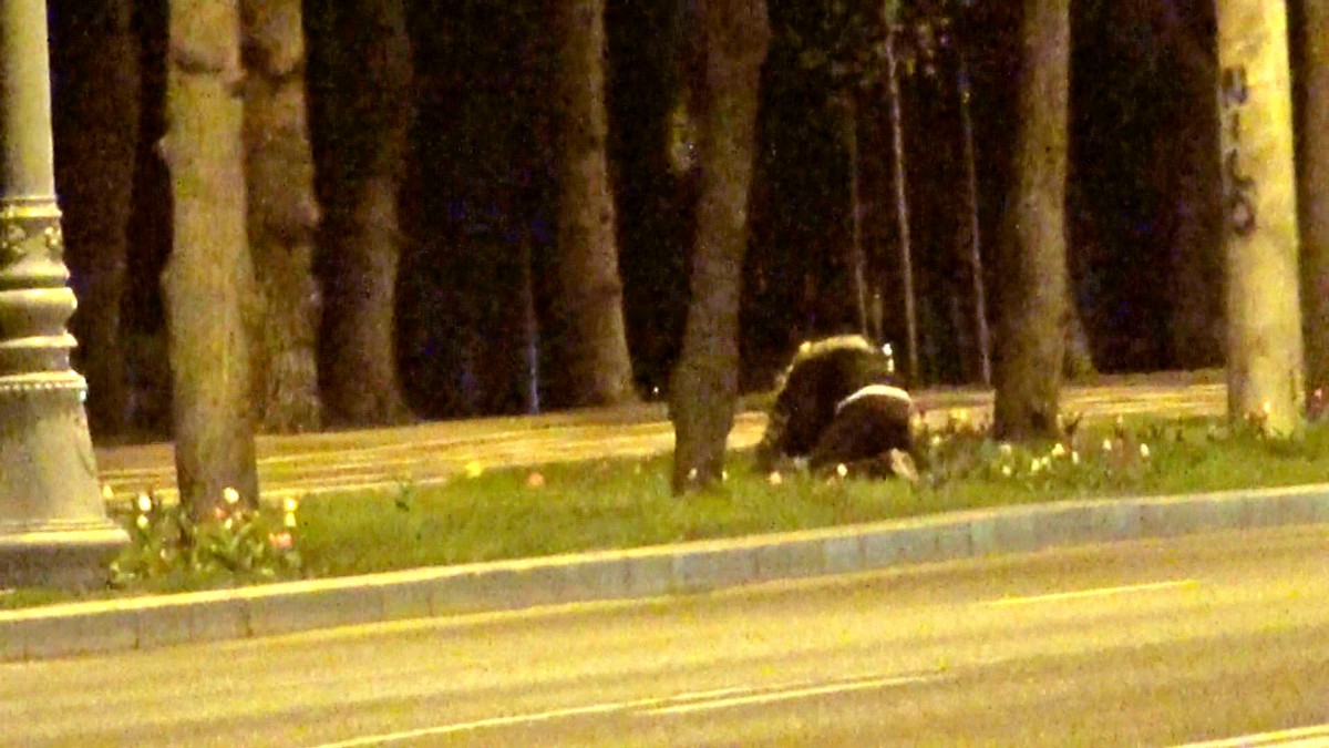 Acest fenomen se intampla cel mai des primavara