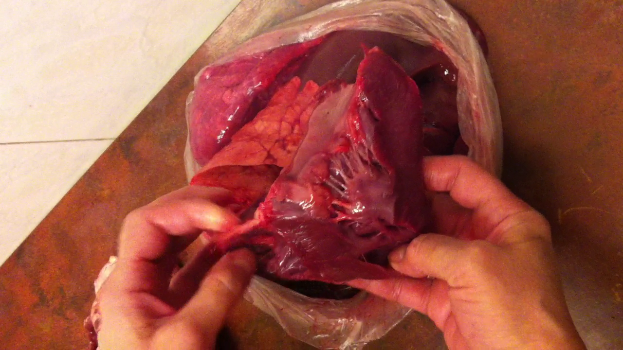 Toate roganele care ar fi trebuit sa fie de miel, sunt defapt de porc