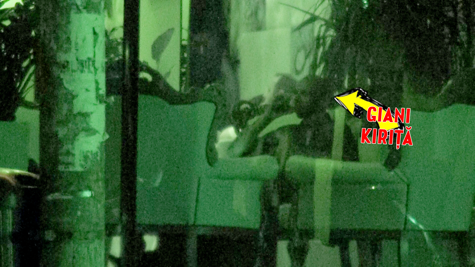 Giani Kirita si Anamaria Ferentz - 5