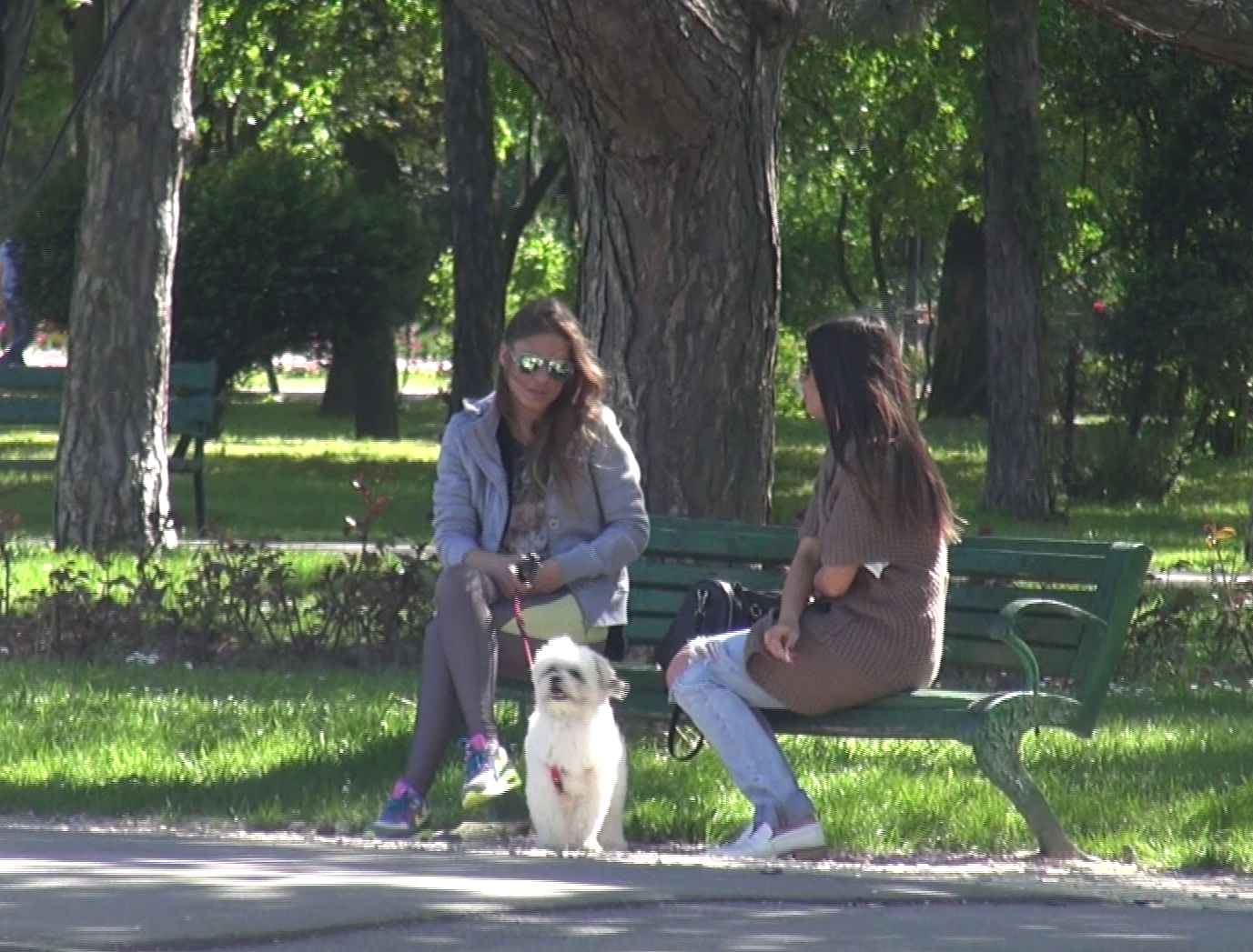 In timp ce Tavi era la locul de joaca impreuna cu pustiul sau, iubita lui (in stanga) si prietena acesteia au stat de vorba pe banca