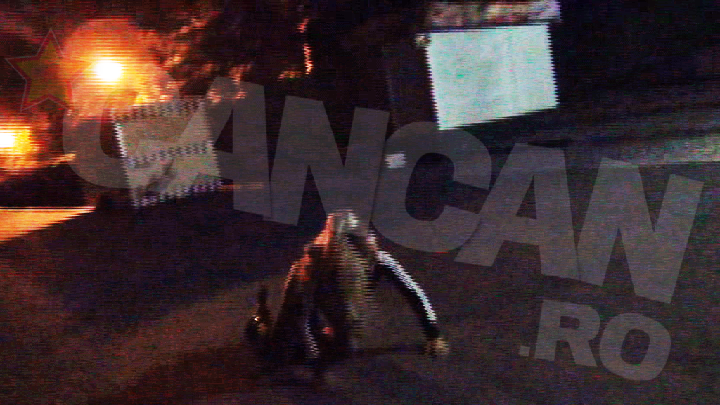 Totusi, si experti mai cad cateodata