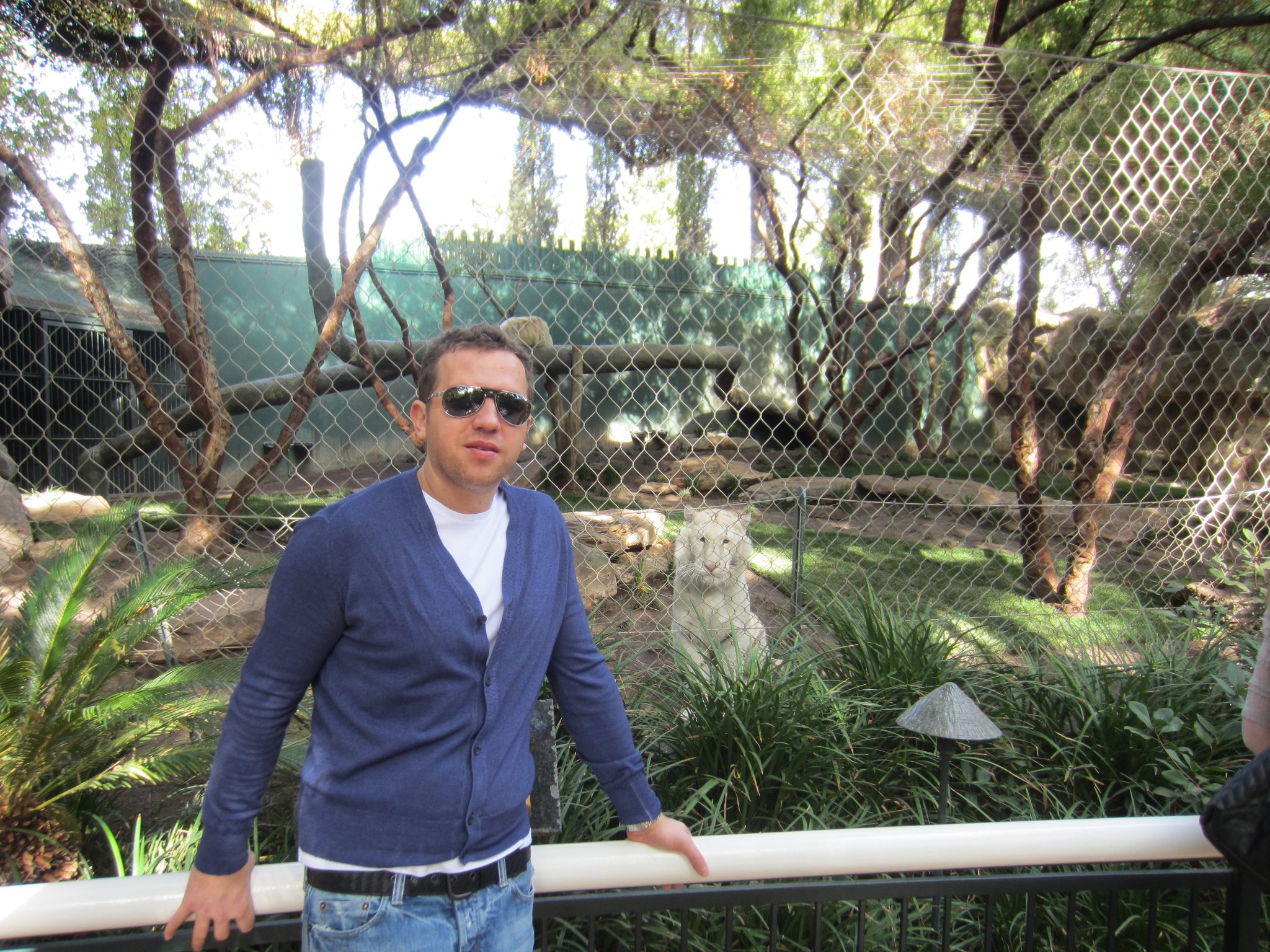 Dan Oproescu are afaceri in zona instalatiilor electrice