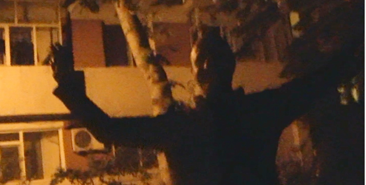 Petrica a participat anul trecut la Romanii au talent