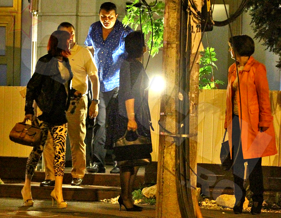 Ciocu' mic Sulfina barbu