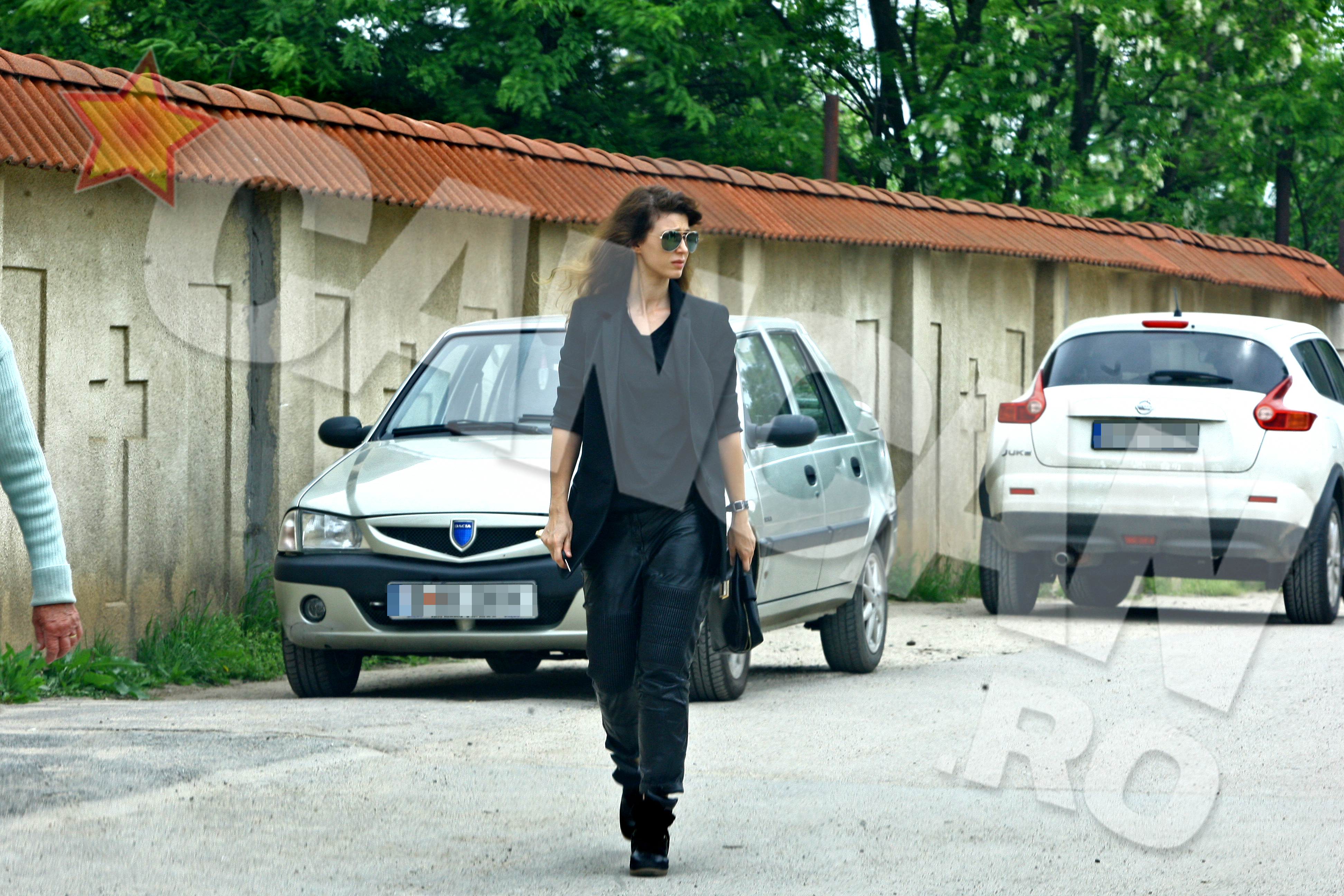 Alina Chivulescu a incurcat Biserica unde se afla trupului lui Ion Alexandru Rogoz