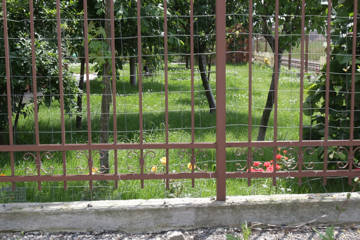 Iarba nu a mai fost tunsa de ceva vreme