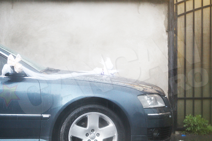 Un element foarte interesant a constat in decoratiile de pe una din masinile din alai