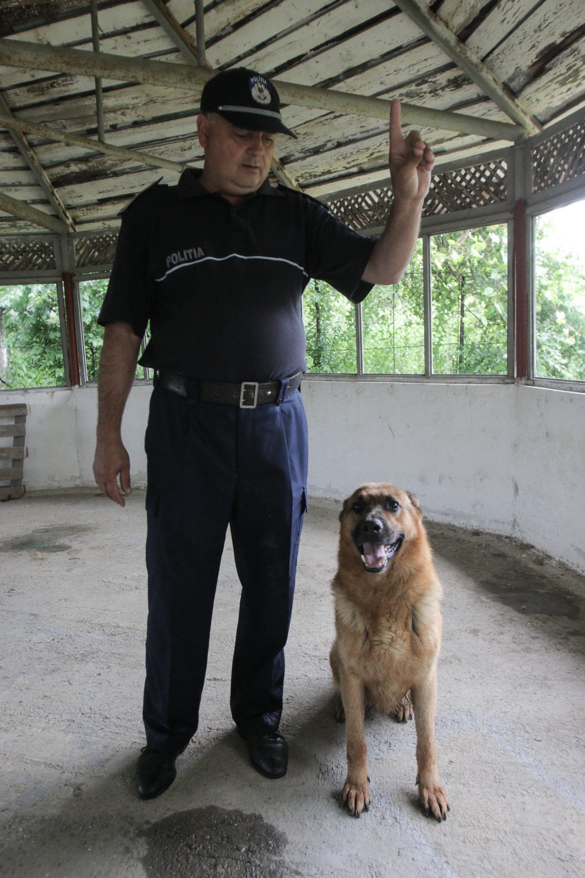 Toby si Cristinel sunt de nedesparitit de cinci ani