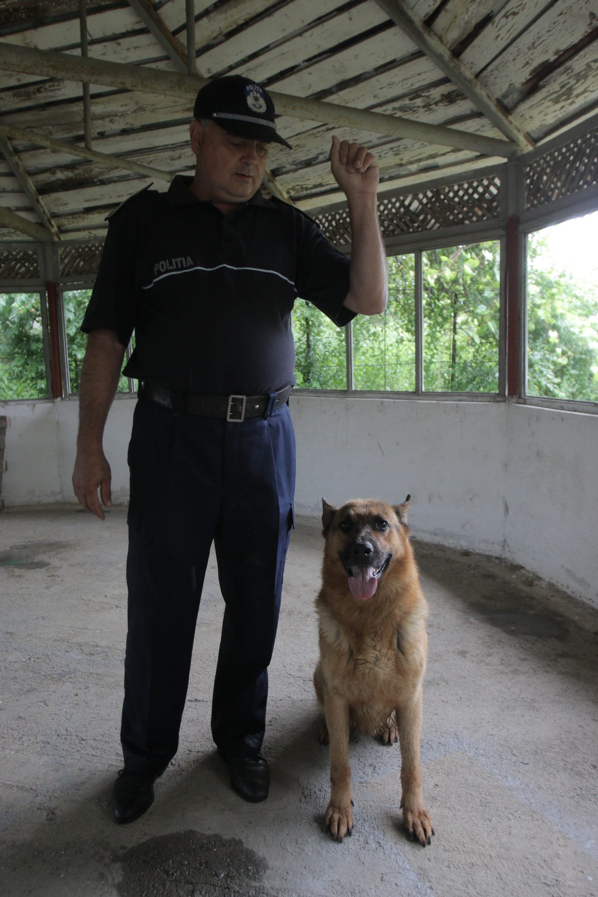 Toby si partenerul sua au participat la cautarile Elodiei in zona Brasovului
