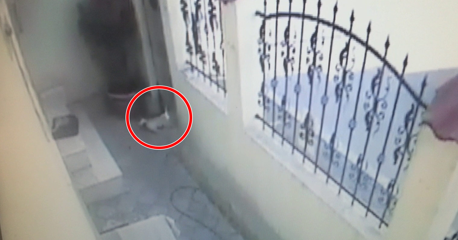 Bijoux incearca sa iasa din casa