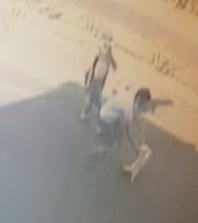 Cei doi hoti il ademenesc pe Bijoux