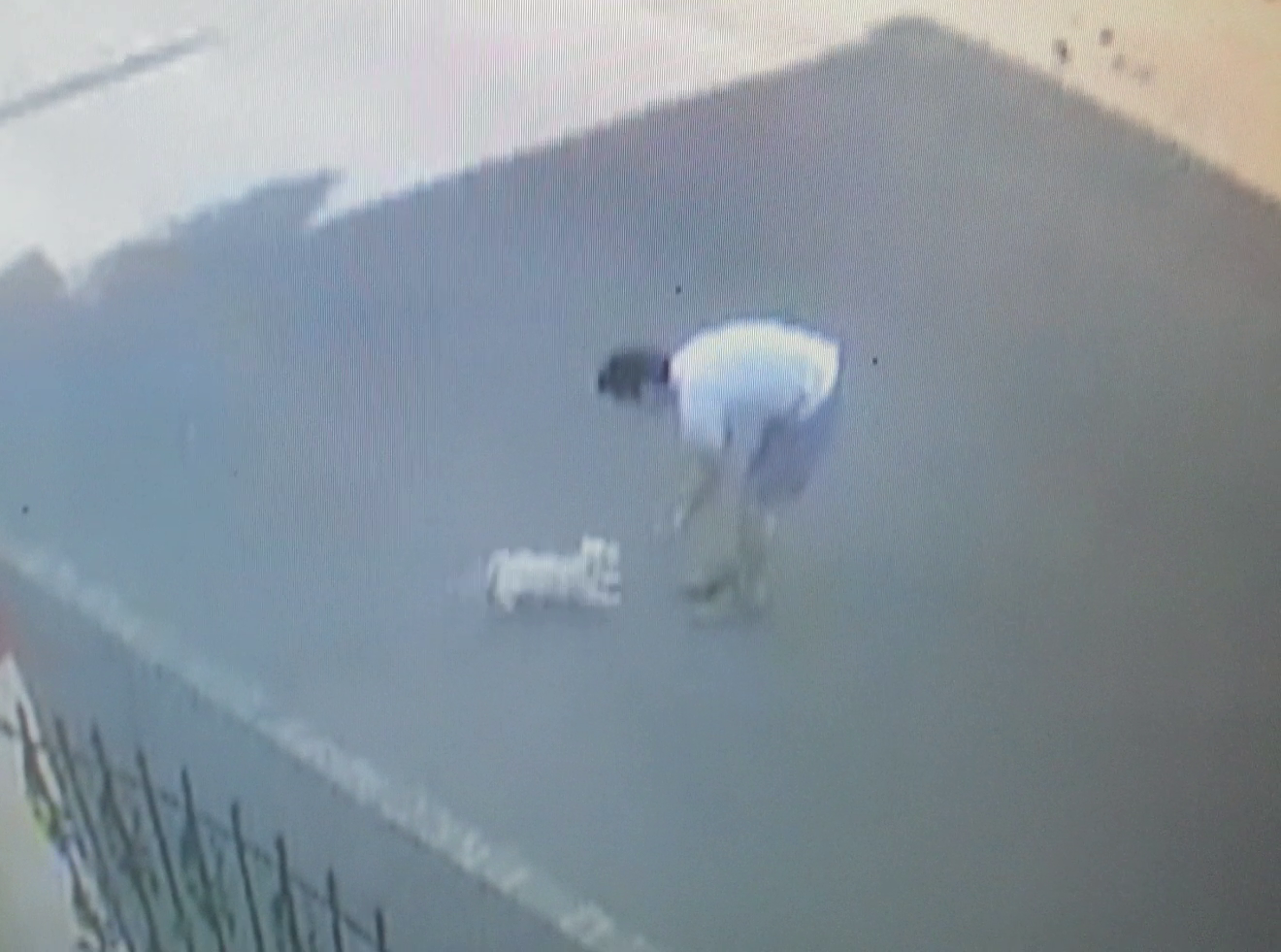 Unul dintre rapitori se joaca cu Bijoux, incercand sa-l atraga cat mai aproape de el