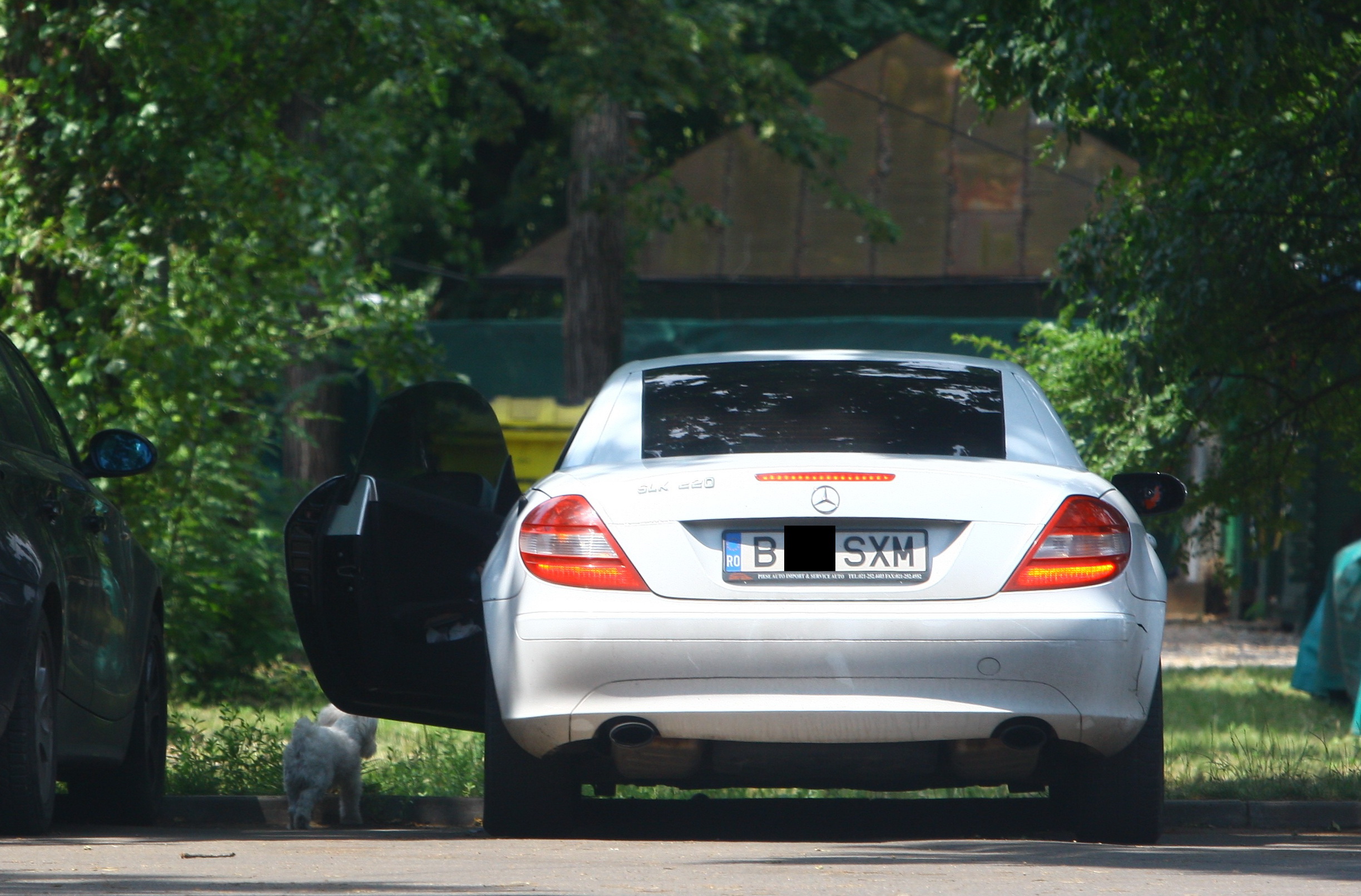 Nerabdator, Bijou a coborat din masina inaintea stapanei sale