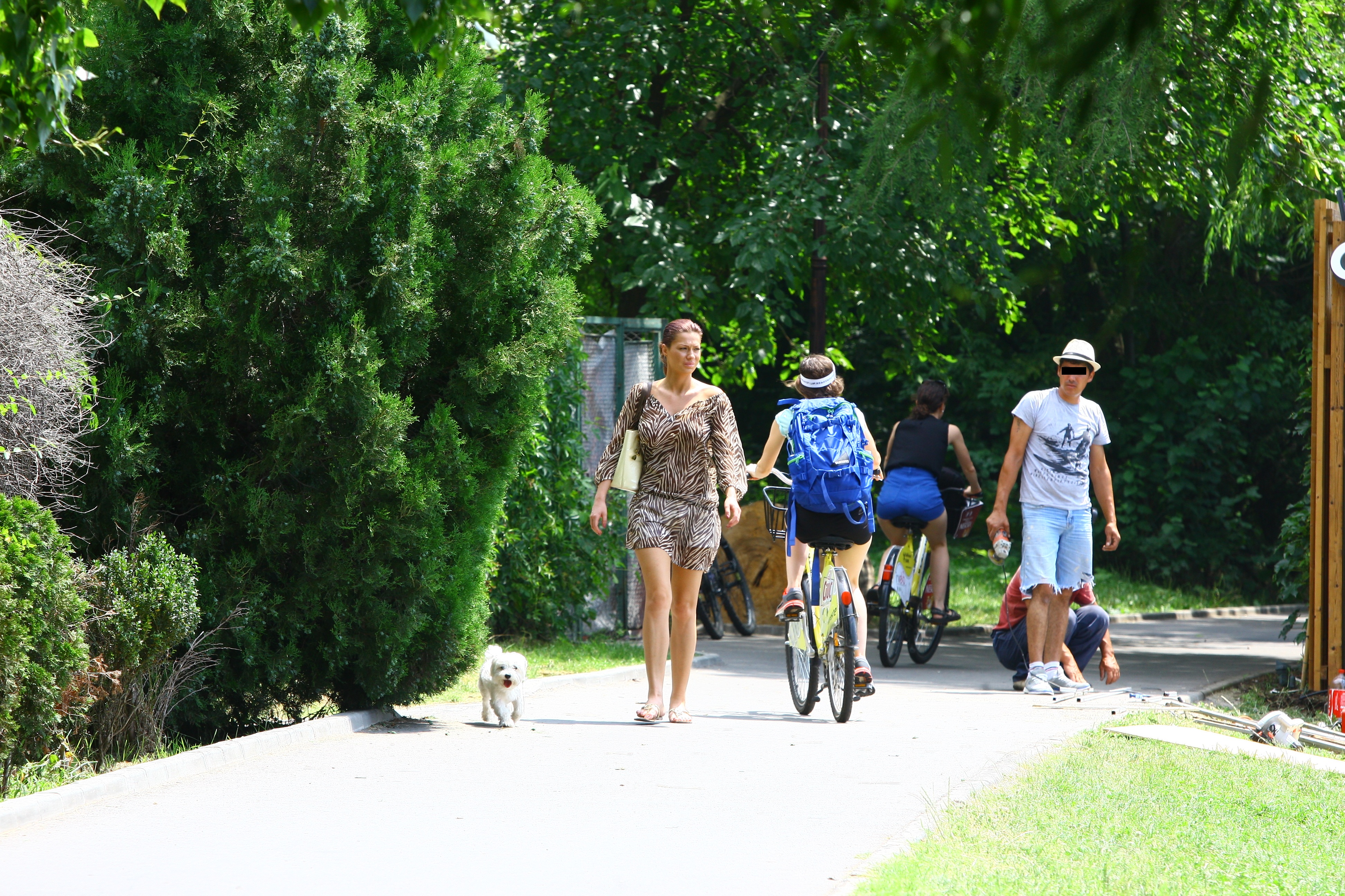 Roscata incearca sa tina pasul cu bichonul ei, care are o energie debordanta