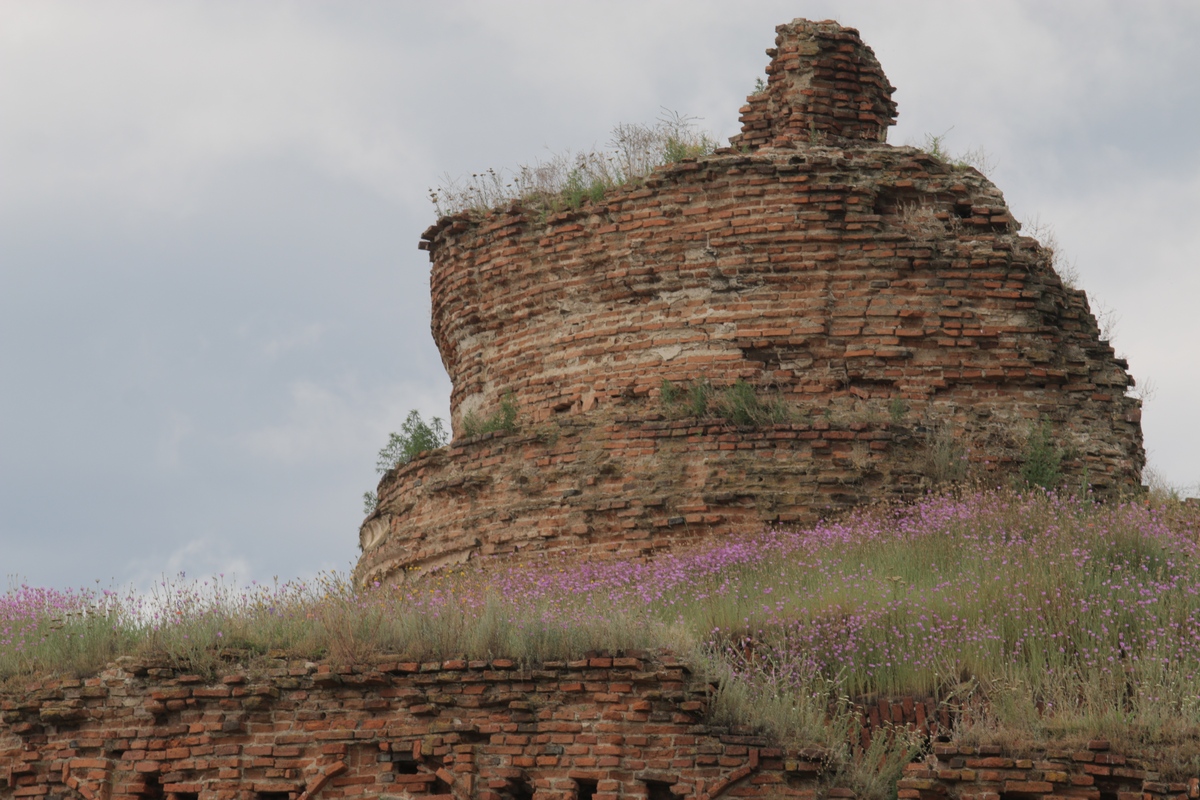Pe ce a ramas din acoperisul bisericii au inceput sa creasca flori
