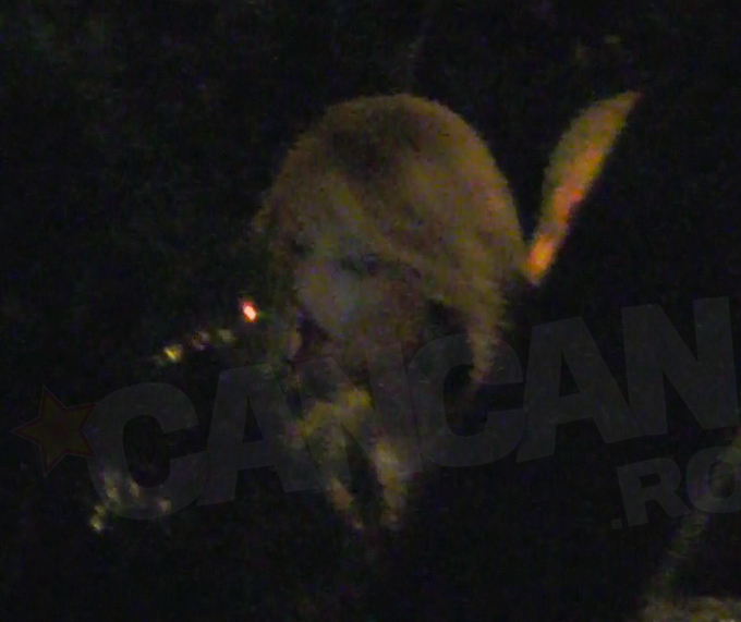 Pana acum, putina lume stia ca Valentina Pelinel fumeaza