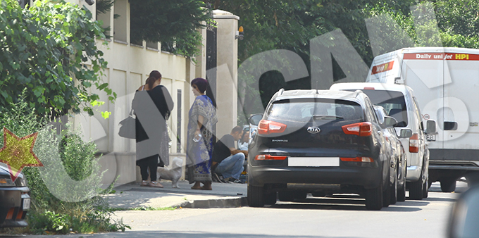 Catelul familiei a intampinat-o bcuros la poarta locuintei